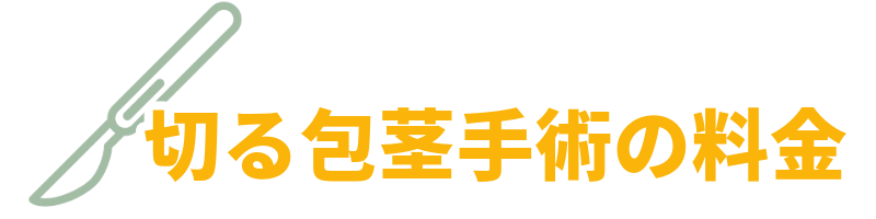 名古屋の包茎手術クリニックの選び方：切る包茎手術の料金を示す画像